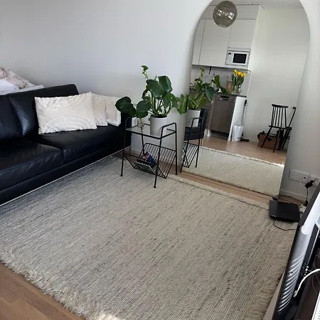 Lutakko With View Apartment Jyvaskyla